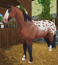 Bay Extended Blanket