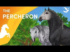 Meet_the_Percheron!💪😎❤️_-_Star_Stable_Breeds