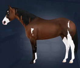 Single Braid with default tail