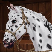 Rope Halter (with reins)