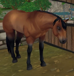American Quarter Horse Jorvikipedia Fandom