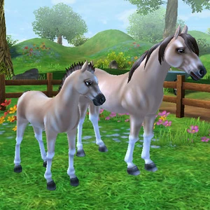 Mustang Jorvikipedia Fandom Kiger mustangs surefooted, level to many, the wild mustang is a symbol of freedom, tenacity, and unbroken spirit. mustang jorvikipedia fandom