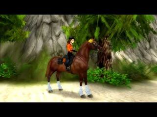 Star Stable World - Morgan Horse