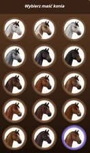 Okno z maściami jorvika gorącokrwistego możliwymi do wyboru przy rejestracji