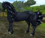 Kara (matowa, generacja 2)