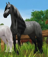 Myszata ze wzorem marmuru (generacja 3)