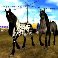 Friesian Sport Horse Jorvikipedia Fandom Feeding your horse in star stable is one of the daily care. friesian sport horse jorvikipedia
