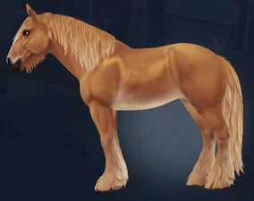 Long with Single Braid and Beard