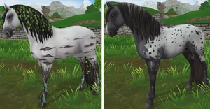 Birch Tree to Steel Grey extended blanket