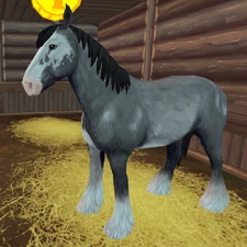 Black Extensive Draft-Type Sabino