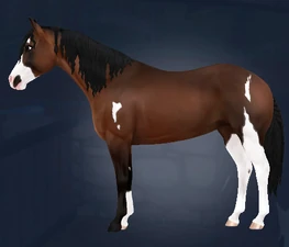 Single Braid with Braided Tail