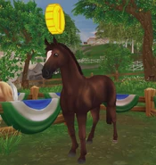 Ciemnokasztanowata (generacja 2)