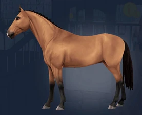 Button Braids (Side)