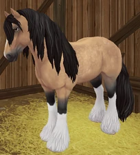 Buckskin