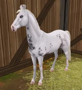 Lamparcia.png (1,47 MB) Kara sabino