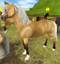 Silver Dapple Buckskin