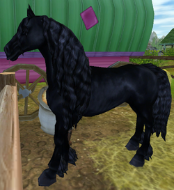 Friesian Horse Jorvikipedia Fandom