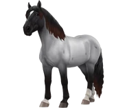 Deresz.png (301 KB) Kara dereszowata