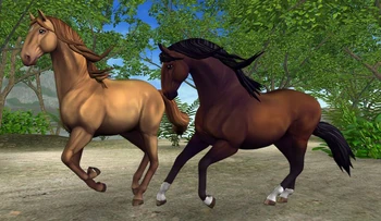 Lusitano | Jorvikipedia | Fandom