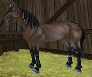 Gniada (generacja 2) (niedostępna)