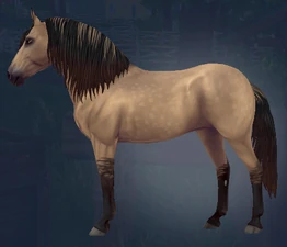 Default with Banded Forelock