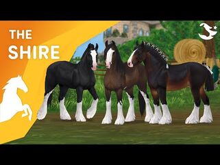 The MAGNIFICENT updated Shire - Star Stable Horses