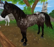 Gniadotarantowata (generacja 2) (niedostępna)