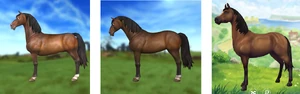 Ewolucja wyglądu konia początkowego