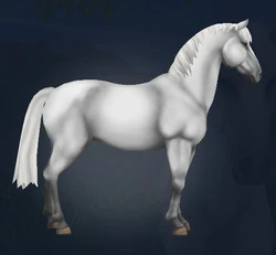 Lipizzaner | Jorvikipedia | Fandom