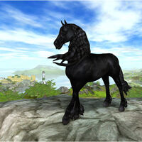 Friesian Horse Jorvikipedia Fandom The friesian sport horse is a horse crossbreed that is available in star stable online. friesian horse jorvikipedia fandom