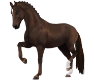 Ciemnokasztanowata (generacja 3)