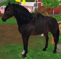 Seal Brown Reverse Dapple