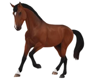 Gniada (generacja 3)