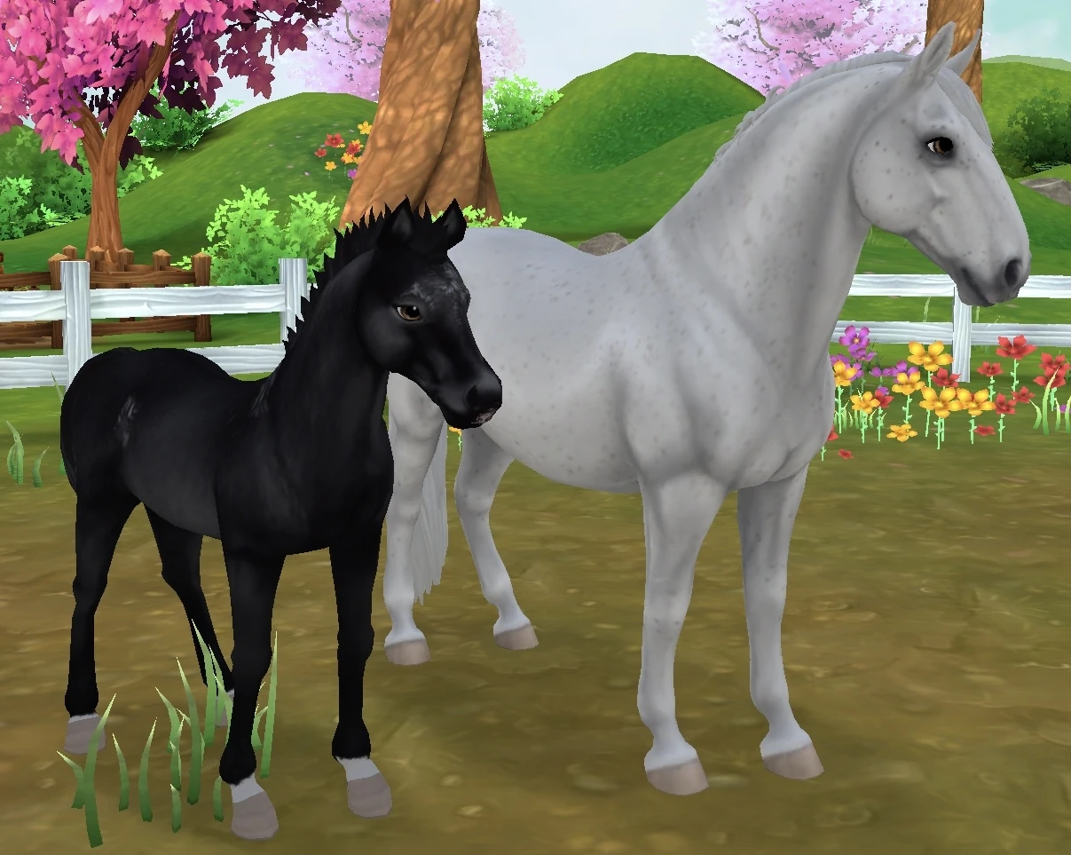 PIATNIK製 トランプ リピッツァナー(軽種馬) Lipizzaner I PIATNIK製 トランプ リピッツァナー(軽種馬) Lipizzaner I