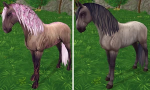 Cherry Tree to Brindle Dun