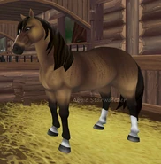 Jelenia okopcona brindle (generacja 2)