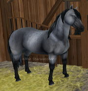 Kara dereszowata (generacja 2)