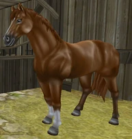 Chestnut (Gen 2)