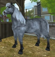 Ciemnosiwa (2 generacja)