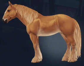 Long with Single Braid