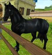 Kara (2 generacja) (niedostępna)