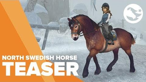 Star Stable Teasers - The North Swedish Horse