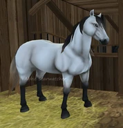 Jelenia maślana srebrna (generacja 2)