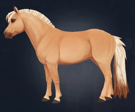 Default (Tradisjonell - Traditional)