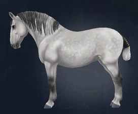 Default with queue braid and schweiftasche tail bag