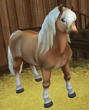 Gold Flaxen Chestnut