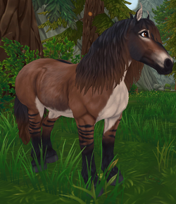 O cavalo selvagem de Jorvik!