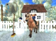 Snow.jpg (56 KB) Original snow (2012-2016)