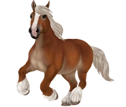 Kasztanowata mączysta z konopiastą grzywą i ogonem