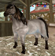 Myszata (2 generacja)